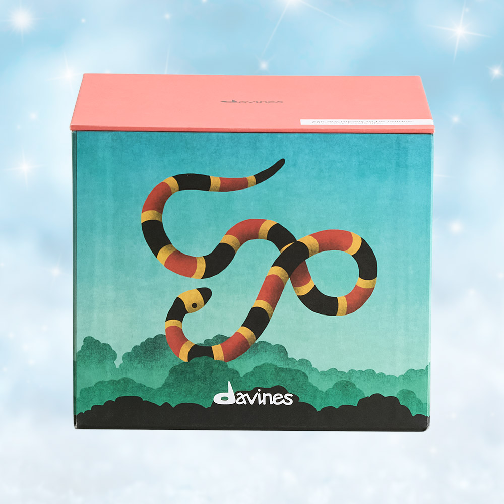 Davines Holiday - Build a Box
