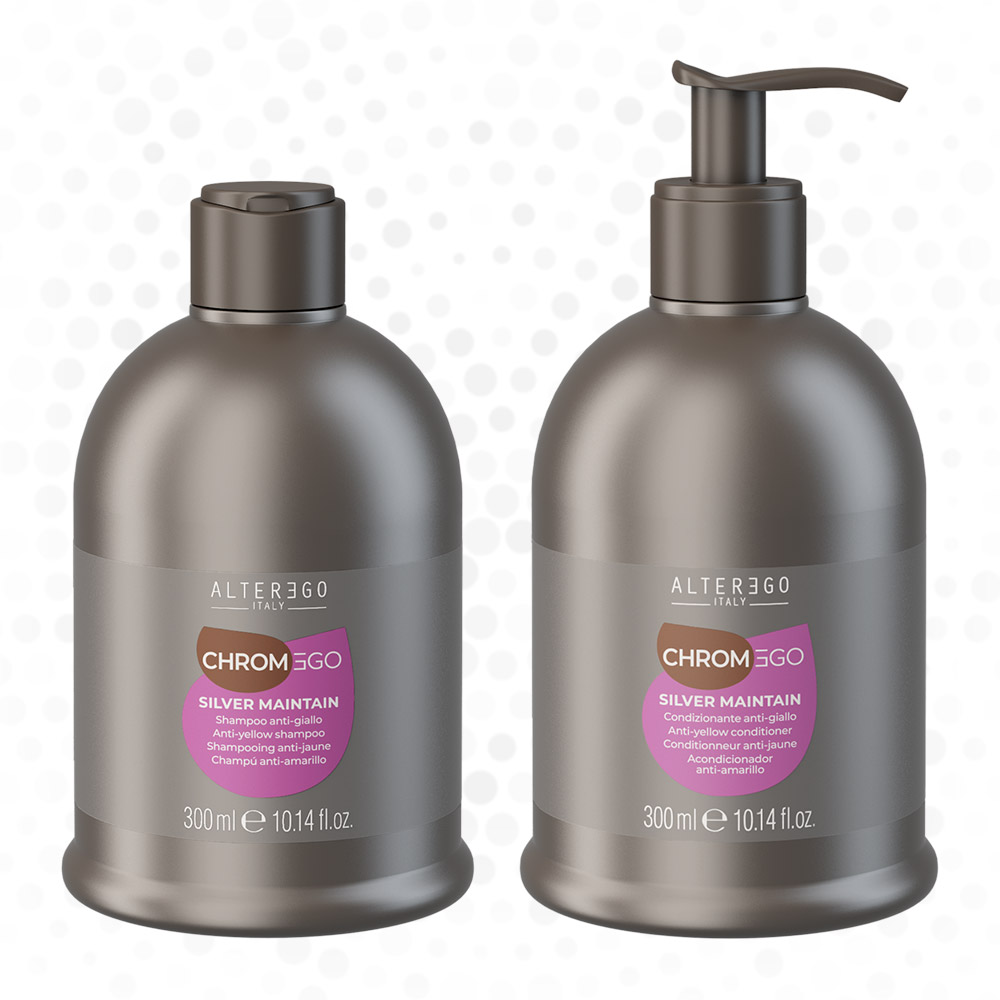Alter Ego Chromego Silver Maintain Holiday Kit